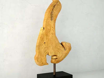 Teak Wood Table Top Decoration 3D model