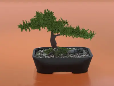 Bonsai tree in pot Free 3D model