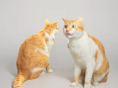 Red cat  21 Low-poly 3D model