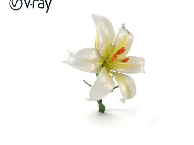 Majestic White Lily Floral Sculpture model pack Low-poly 3D model