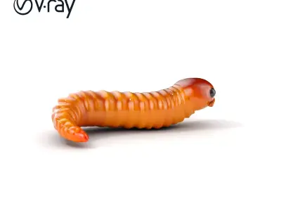 Realistic Worm Model Pack   Levels of Detail Low-poly 3D model