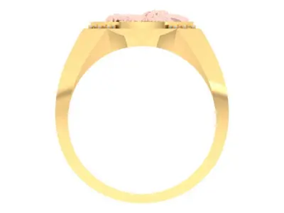 Eagle Ring - Mens Ring - N577 3D print model