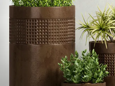 Decorative plant set-32 3D model