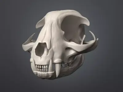 Cat Skull 3D model