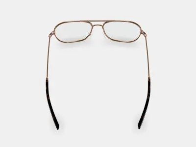 Abe Eyeglasses in Polished Gold 3D model