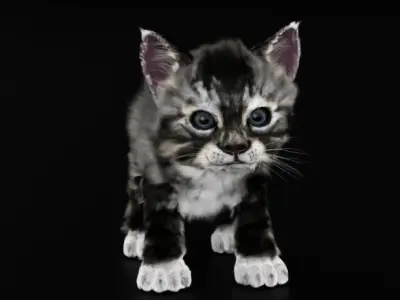 Kitten Cute 3D model