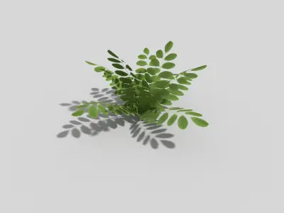 Low poly Plant fern Low-poly 3D model