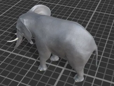 African elephant Low-poly 3D model 2