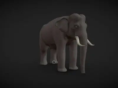 Asian Elephant male Base Mesh Low-poly 3D model