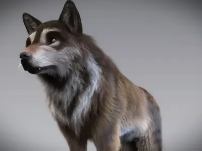 Wolf  3D European Wolf 3D model