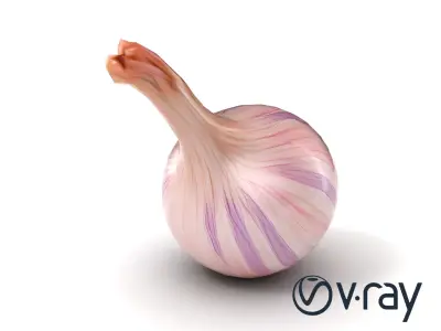 Elegant Shallot Model Pack with Detailed Texture Low-poly 3D model