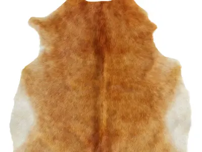 Cowhide light brown area rug 3D model