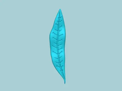 Willow Oak Tree Leaf - Molding Artificial EVA Craft 3D print model