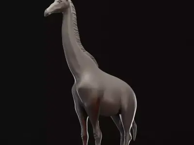 Giraffo giraffe 3D model