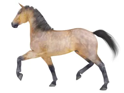 Horse Collection 01 3D model