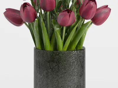 bouquet set04 tulip flower 3D model
