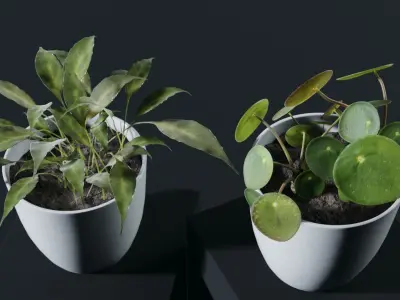 potted plants - pack 3D model