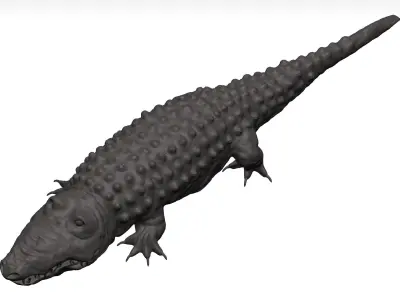 Alligator 3D model shop