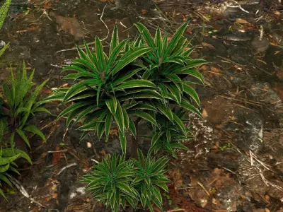 Plants 3D model