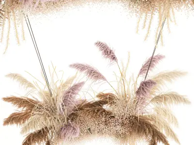 Hanging decor of their dried pampas grass 200 3D model