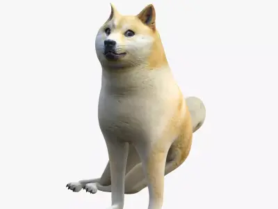 Doggo shiba inu Low-poly 3D model