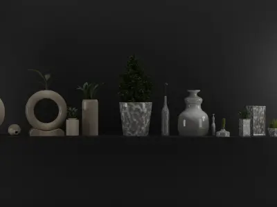 Decoration different vases and plants on shelf 3D model