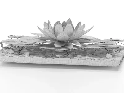 Decorative Set of Water Lily 3D model