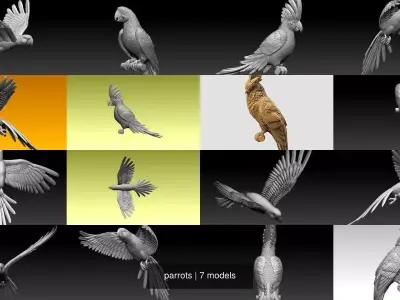 parrots 3D Model Collection