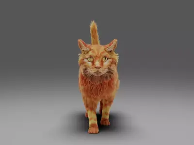 Fur Cat Yellow V3 NO Rigged  Low-poly 3D model