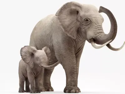 Elephant and Baby Elephant Animated 8K Low-poly 3D model