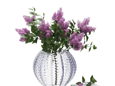Lilak Vase  3D model