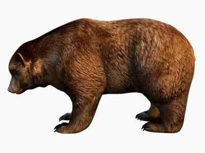 Bear brown Low-poly 3D model