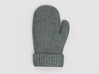 -Winter Glove- 3D model