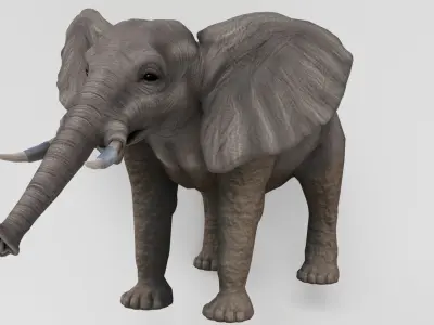 AnimalS Collection 3D model