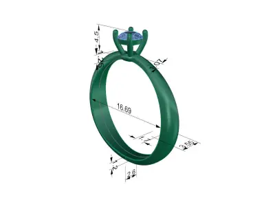 ring RW05 3D print model