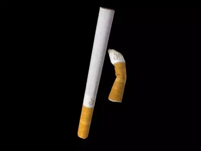 Cigarette kit - 2 models 3D model