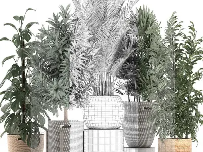 Plants in baskets for the interior 632 3D model