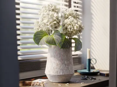 Indoor plants collection 3D model