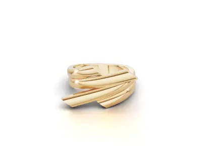 Minimal Abstract Ring 11 3D print model