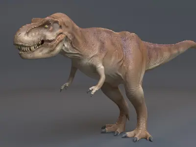 Trex 3d 3D model