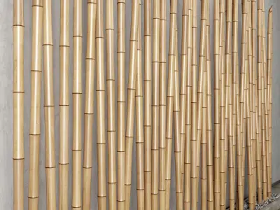 Bamboo decor n19 3D model