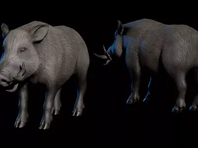 Wild Boar Low-poly 3D model
