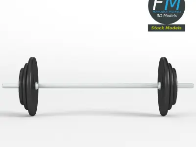 Gym equipment plate and bar 3D model