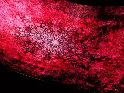 Persian Rug 3D Model Free 3D model