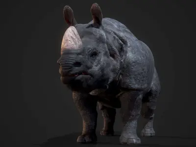 Indian Rhinoceros Low-poly 3D model