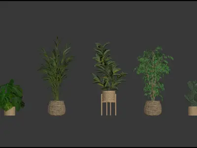 20 Photorealistic Flowers for Interiors - set 202 206 210 212 3D Model Collection