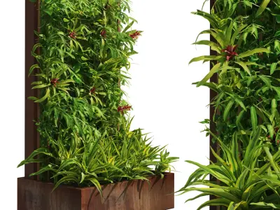 Decoration greenwall fitowall with plant box Low-poly 3D model