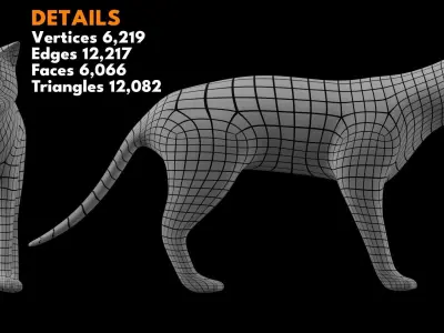 Animal Basemesh Pack - 13 base meshes 3D model