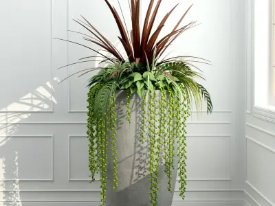 Room plants 3D model