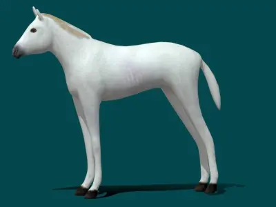 Foal Horse Animal Low-poly 3D model